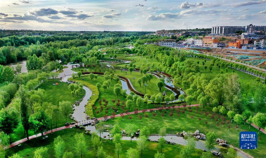 （新華全媒頭條·聚焦生物多樣性大會(huì)·圖文互動(dòng)）（4）攜手同行，開(kāi)啟人類高質(zhì)量發(fā)展新征程——習(xí)近平主席在《生物多樣性公約》第十五次締約方大會(huì)領(lǐng)導(dǎo)人峰會(huì)上的主旨講話解讀