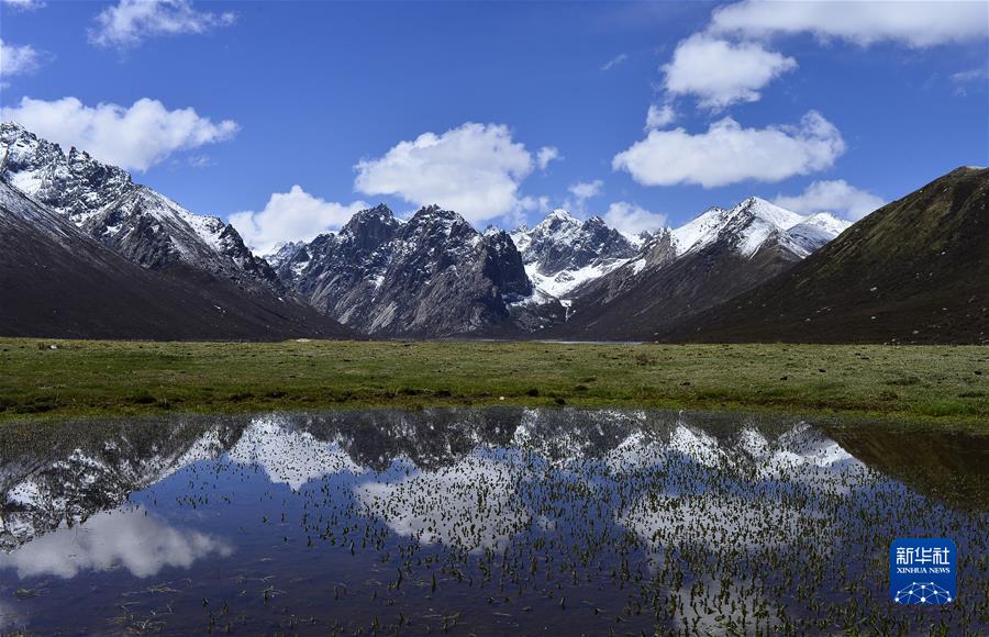 （新華全媒頭條·聚焦生物多樣性大會(huì)·圖文互動(dòng)）（7）攜手同行，開(kāi)啟人類高質(zhì)量發(fā)展新征程——習(xí)近平主席在《生物多樣性公約》第十五次締約方大會(huì)領(lǐng)導(dǎo)人峰會(huì)上的主旨講話解讀